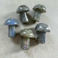 mushroom, mini, jasper, sesame (copy)