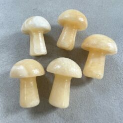 mushroom, mini, aventurine (copy)