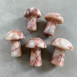 mushroom, mini, jasper, red vein