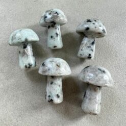 mushroom, mini, jasper, red vein (copy)