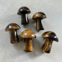 mushroom, mini, serpentine (copy)