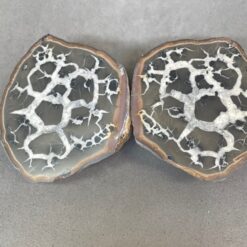 septarian nodule pair (5) (mineral) (copy)